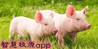 智慧牧原app大全-2023新版智慧牧原app-智慧牧原app下載安裝