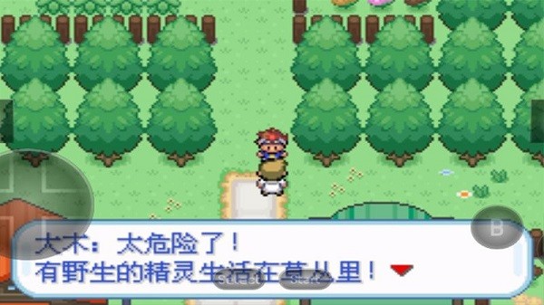 口袋妖怪暴龍版 v2.0.0 安卓版 0