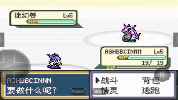 口袋妖怪暴龍版游戲下載