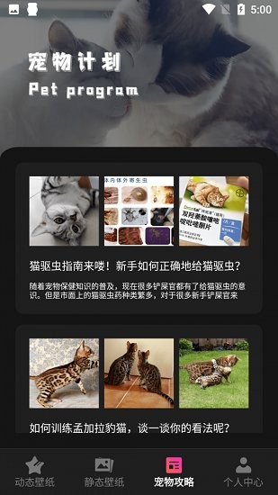 貓咪壁紙app v1.1 安卓版 2