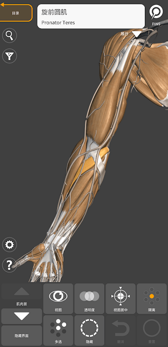 藝術(shù)家之3d解剖圖安卓版 v2.0.10 免費(fèi)版 1