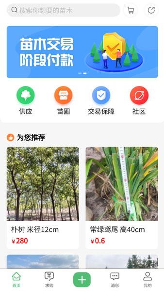 苗青青官方版 v2.0.30 安卓版 2