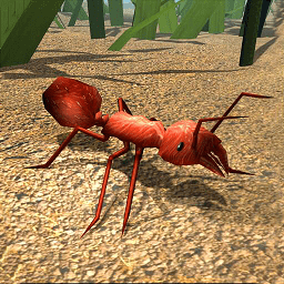 叢林抵御戰(zhàn)手游