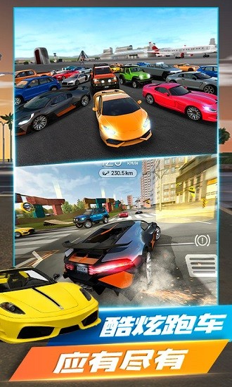 真實(shí)汽車競賽 v1.1 安卓版 0