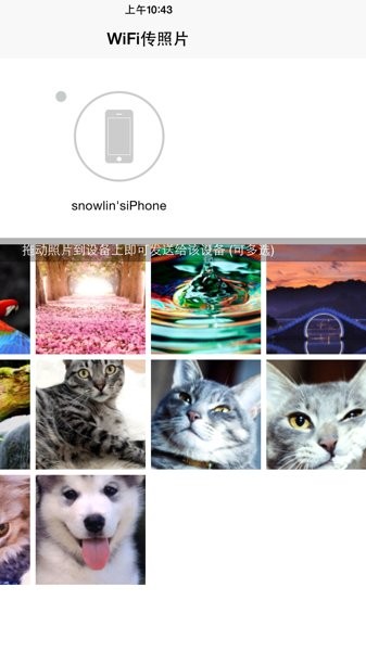 fototrans蘋果軟件 v1.3 ios版 0