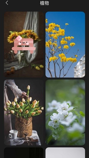 布丁壁紙app v9.8.0 安卓手機(jī)版 1