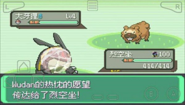 口袋妖怪綠寶石890