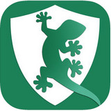 壁虎瀏覽器電腦版