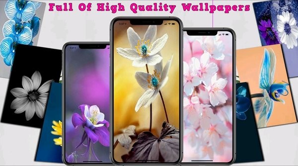 蘋(píng)果ios11壁紙