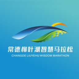 常德市智慧德馬