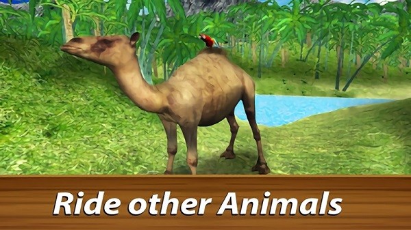 野生鸚鵡模擬器游戲 v1.2 安卓版 3