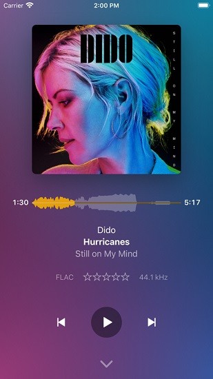 plexamp音頻播放器 v4.10.1 手機版 0