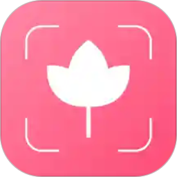 掃碼識花app