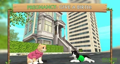 貓咪生存模擬器中文版(Cat Sim) v1.0 安卓版 2