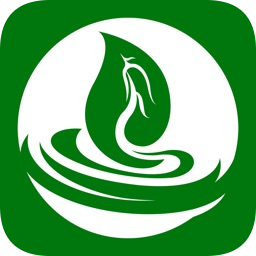 綠色金子app安卓機