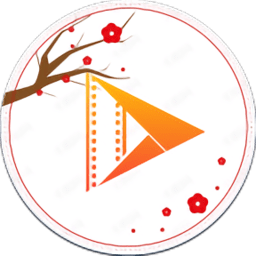 飛英視頻標(biāo)準(zhǔn)版