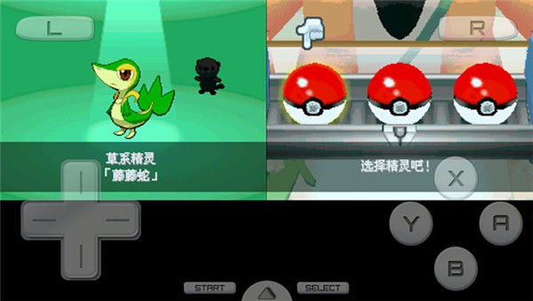 口袋妖怪抖m白2