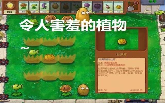 植物大戰(zhàn)僵尸蔡徐坤搞笑版 v2.7.00 安卓版 0