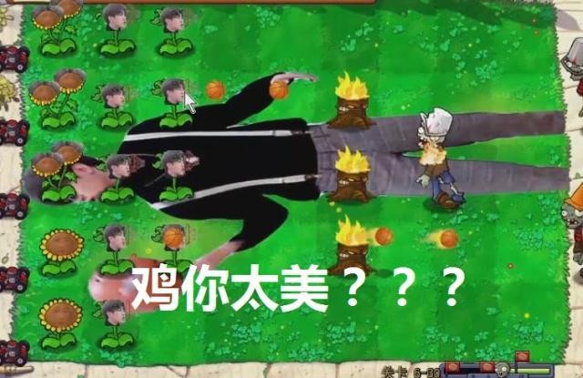 植物大戰(zhàn)僵尸蔡徐坤