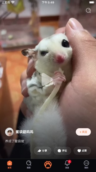 鏟屎啦 v1.0.0 手機版 0