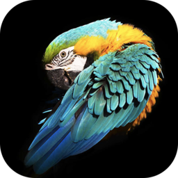 好用動態(tài)壁紙app