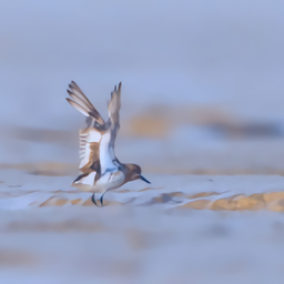 潮汐查詢網(wǎng)2021