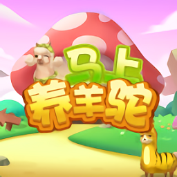 馬上養(yǎng)羊駝