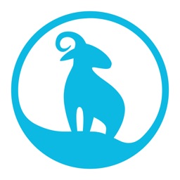 視洞blurams攝像頭軟件