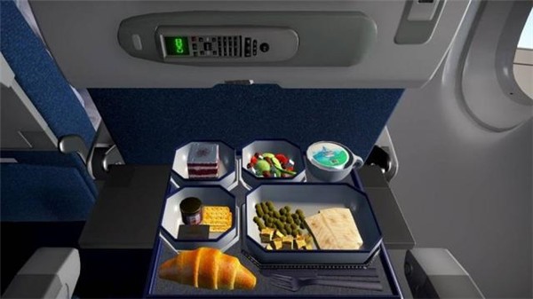 經(jīng)濟(jì)艙模擬器手機(jī)版