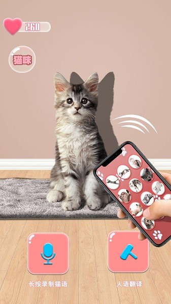 貓咪語(yǔ)言翻譯器中文版 v1.0 安卓版 1