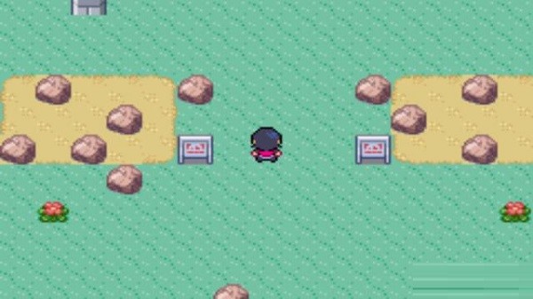 口袋妖怪蛇紋木內(nèi)置作弊菜單 v1.0 安卓版 1