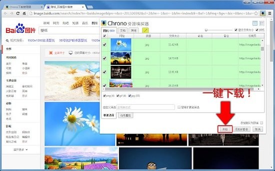 Chrono下載管理器插件 v0.11.1 官方版 1