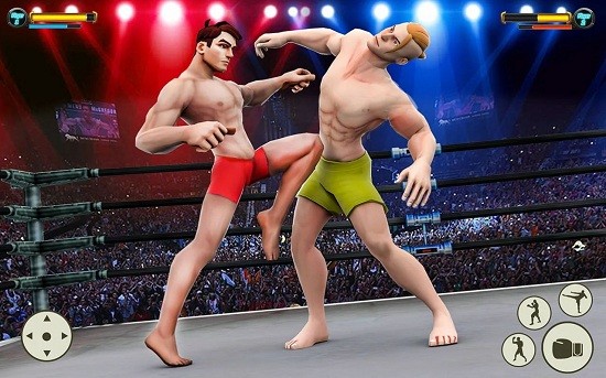 格斗拳擊體育館(Grand Robot Ring Fighting Game) v1.21 安卓版 3