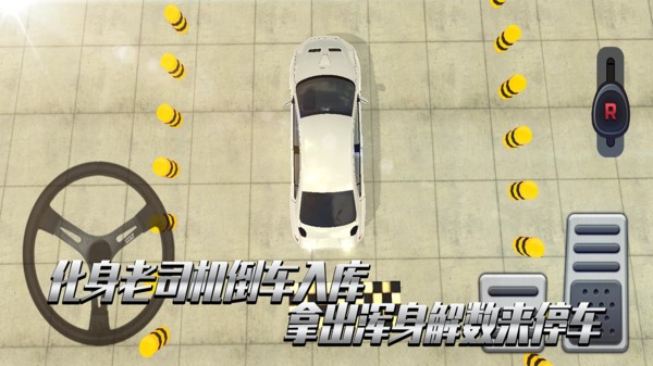 老司機(jī)考科目二手游 v1.0.0 安卓版 3