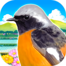 雀鳥樂園(鳥パラダイス)