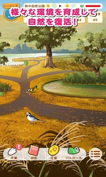 雀鳥樂園 雀鳥樂園游戲