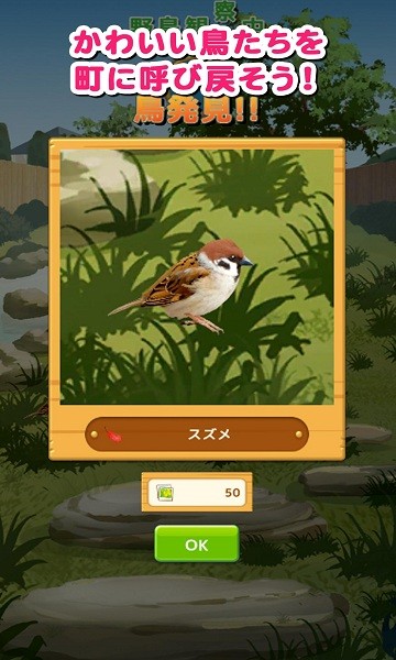 雀鳥樂園 雀鳥樂園安卓版