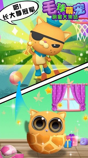 毛球萌寵明星大集結(jié)游戲 v1.0 安卓版 1