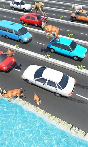 动物公路跳跃(Animal Pets Traffic Highway Cross) v4 安卓版0