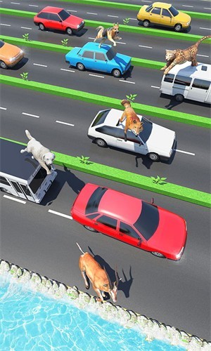 動物公路跳躍 動物公路跳躍游戲