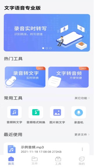 語音轉(zhuǎn)文字專業(yè)版軟件