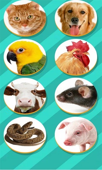 動物交流模擬器app下載