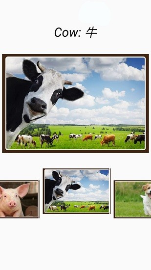 動(dòng)物和聲音軟件 v4.1 最新版 1