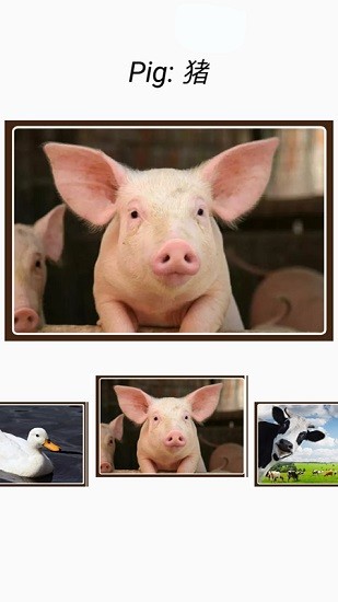 動(dòng)物和聲音軟件 v4.1 最新版 3