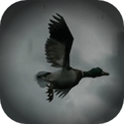 打鴨子vr恐怖游戲LegendaryHunterVR(6DoF版)