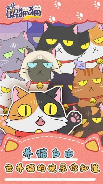 老鼠躲貓貓小游戲 老鼠躲貓貓游戲