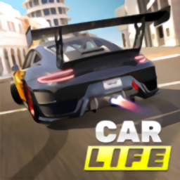 汽車人生開放世界(Car Life)