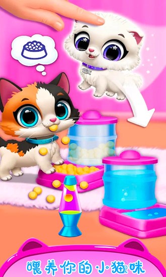 公主寵物小貓咪 v2.0 安卓版 3