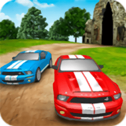 賽車?yán)﹀\標(biāo)賽