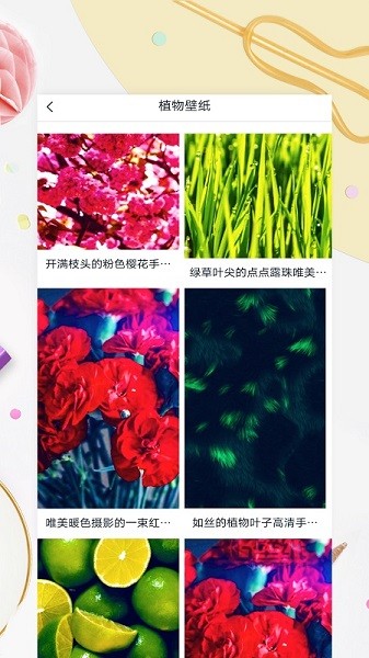 Mix壁紙 v1.0.0 安卓版 1